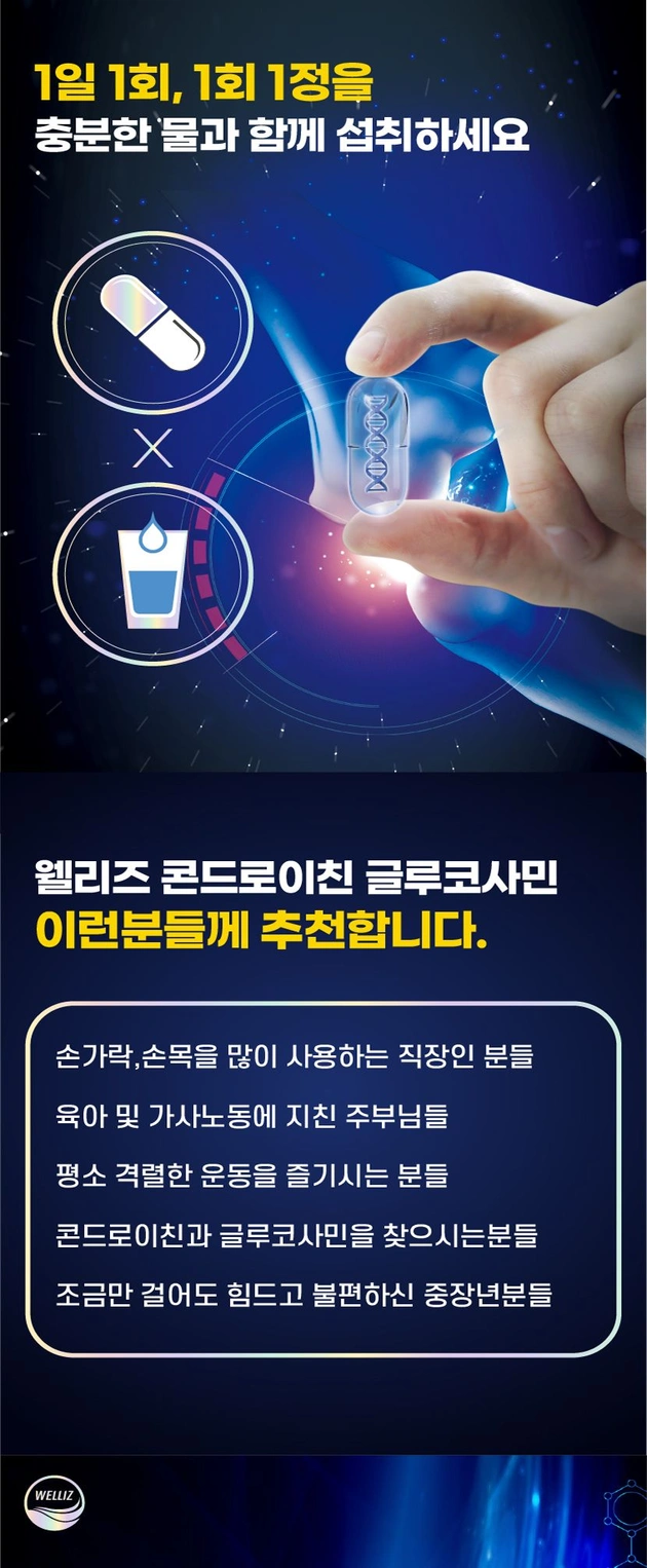 웰리즈 콘드로이친 글루코사민 커큐민 정