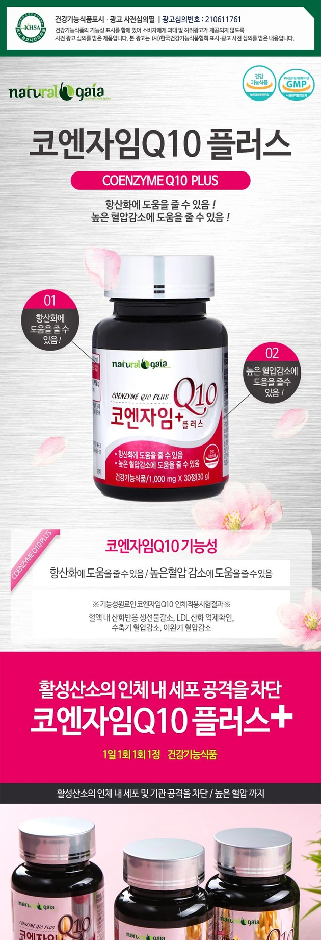 코엔자임 Q10 플러스 항산화 혈압감소