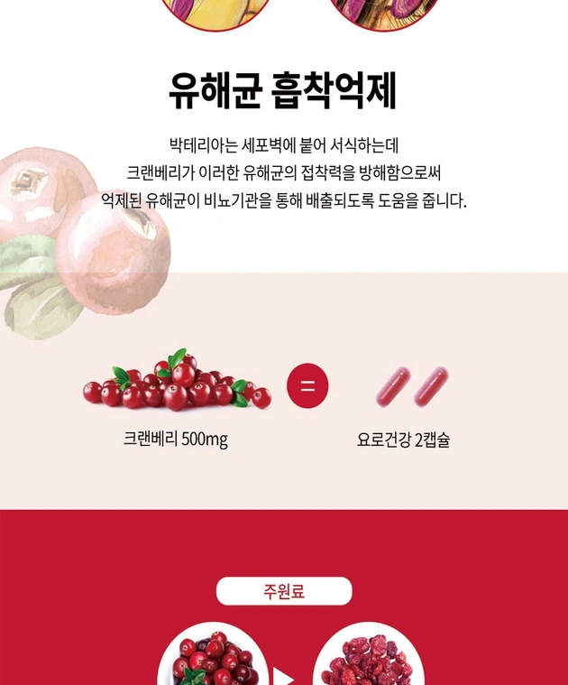 요로건강 파크랜 크랜베리