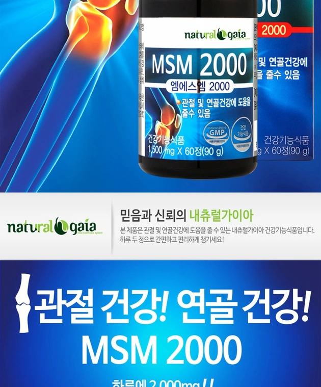 MSM 2000