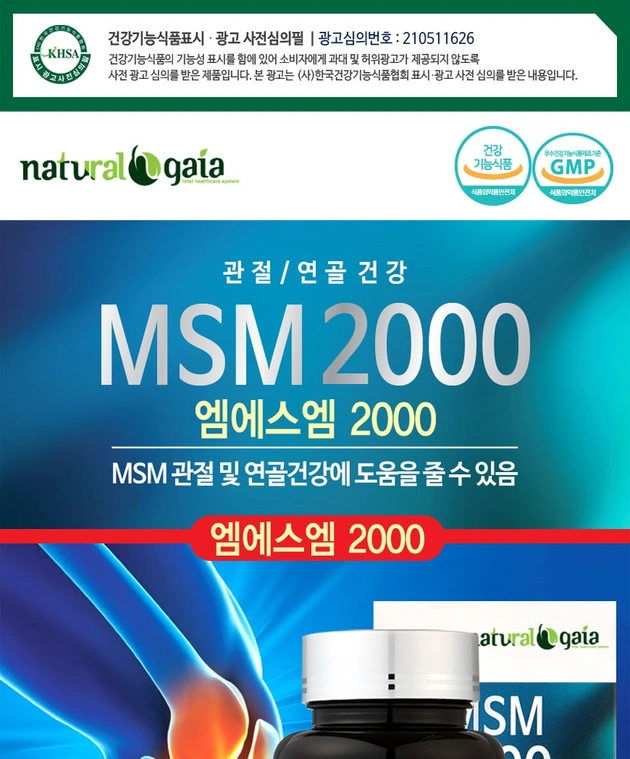 MSM 2000