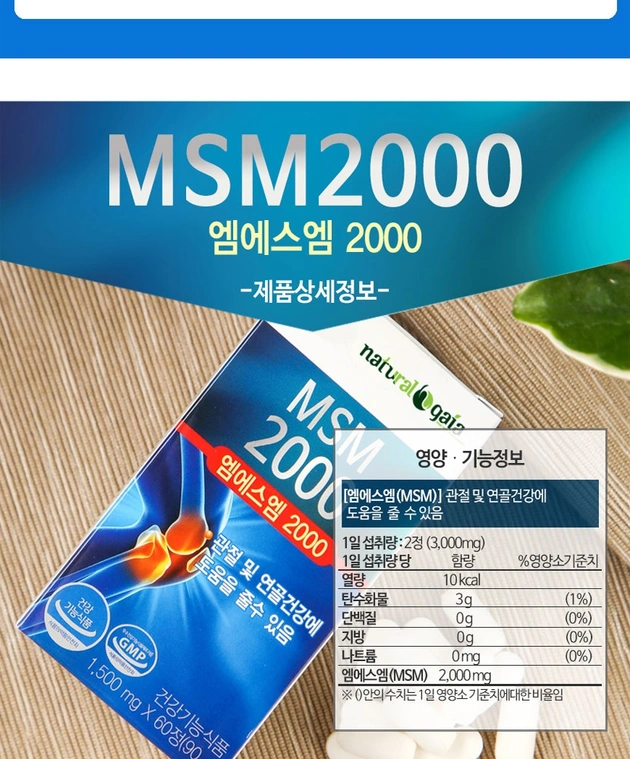 MSM 2000