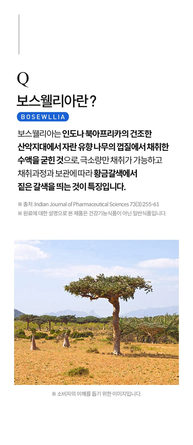 콘드로이친 보스웰리아 비타D