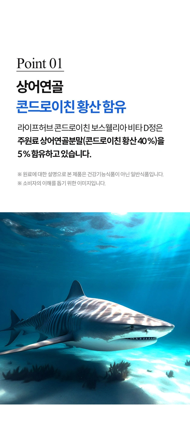 콘드로이친 보스웰리아 비타D